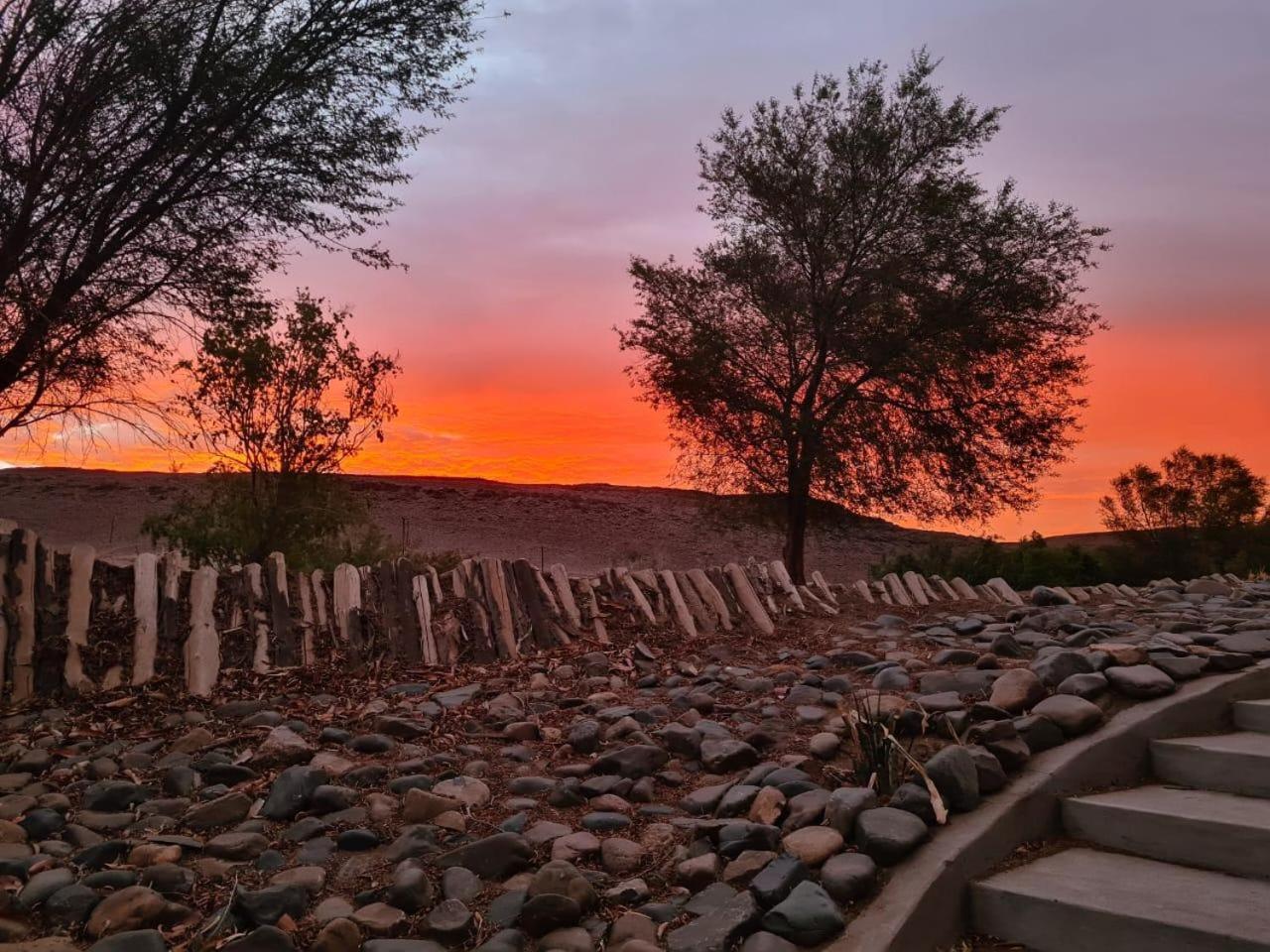 Kwelanga River Lodge Vioolsdrift المظهر الخارجي الصورة